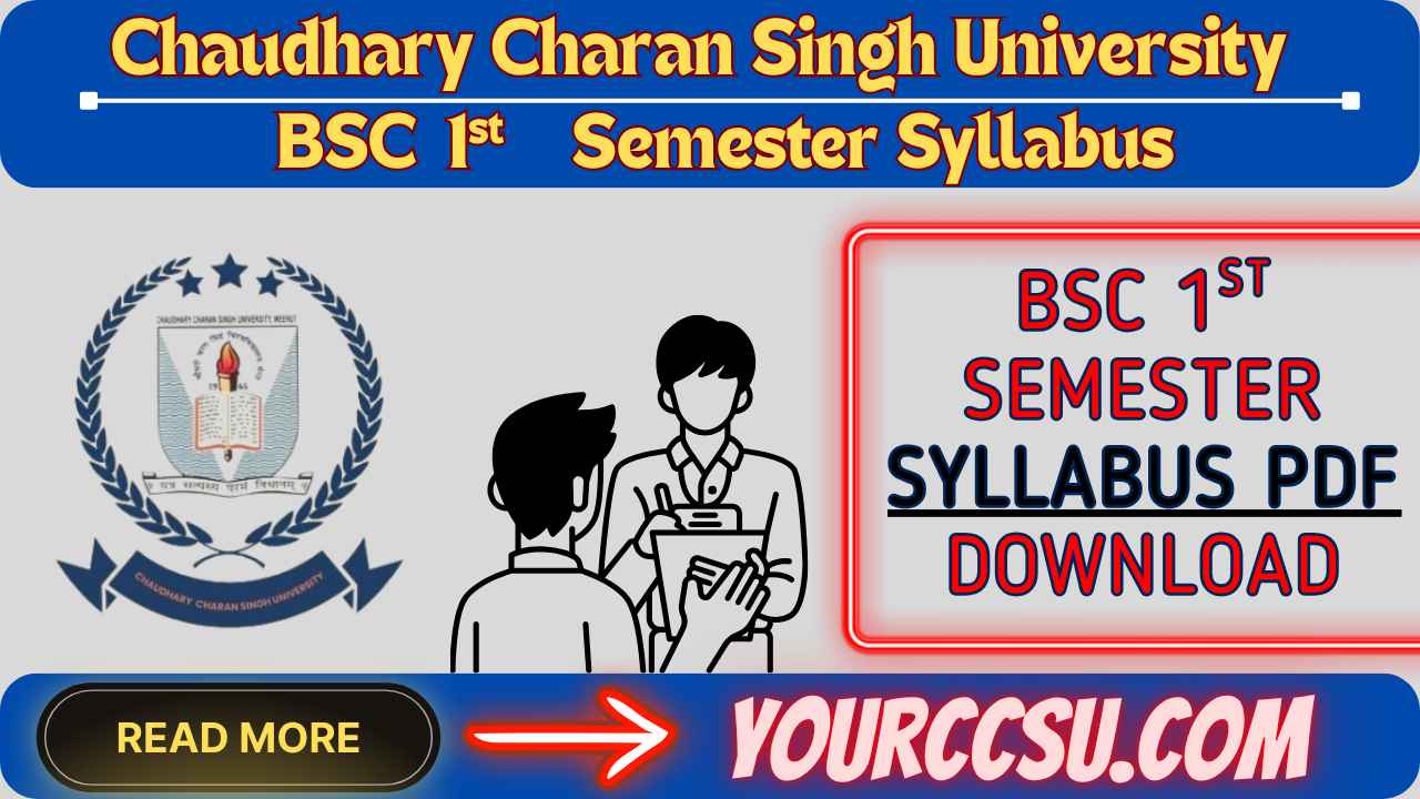 CCSU BSC 1st Semester Syllabus