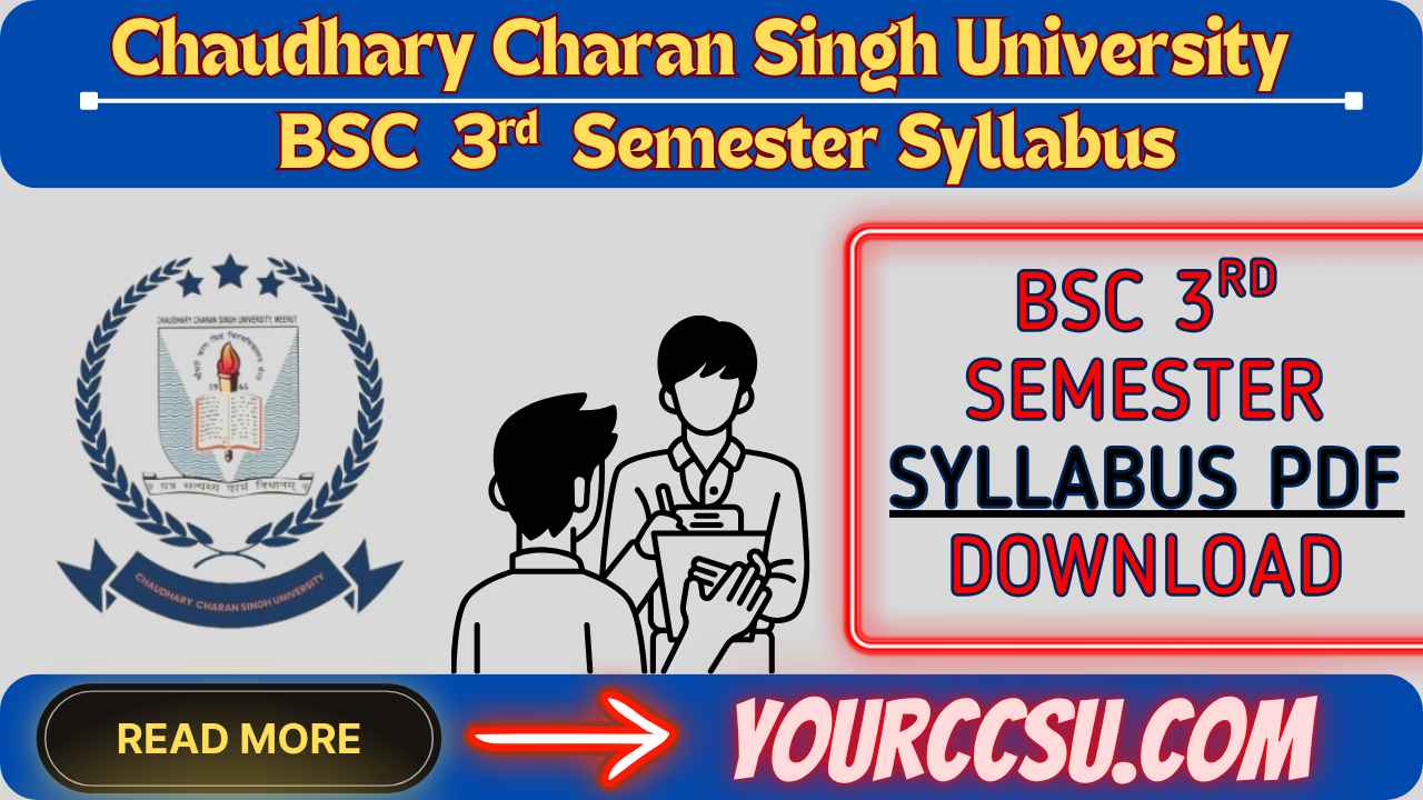 CCSU BSC 3rd Semester Syllabus