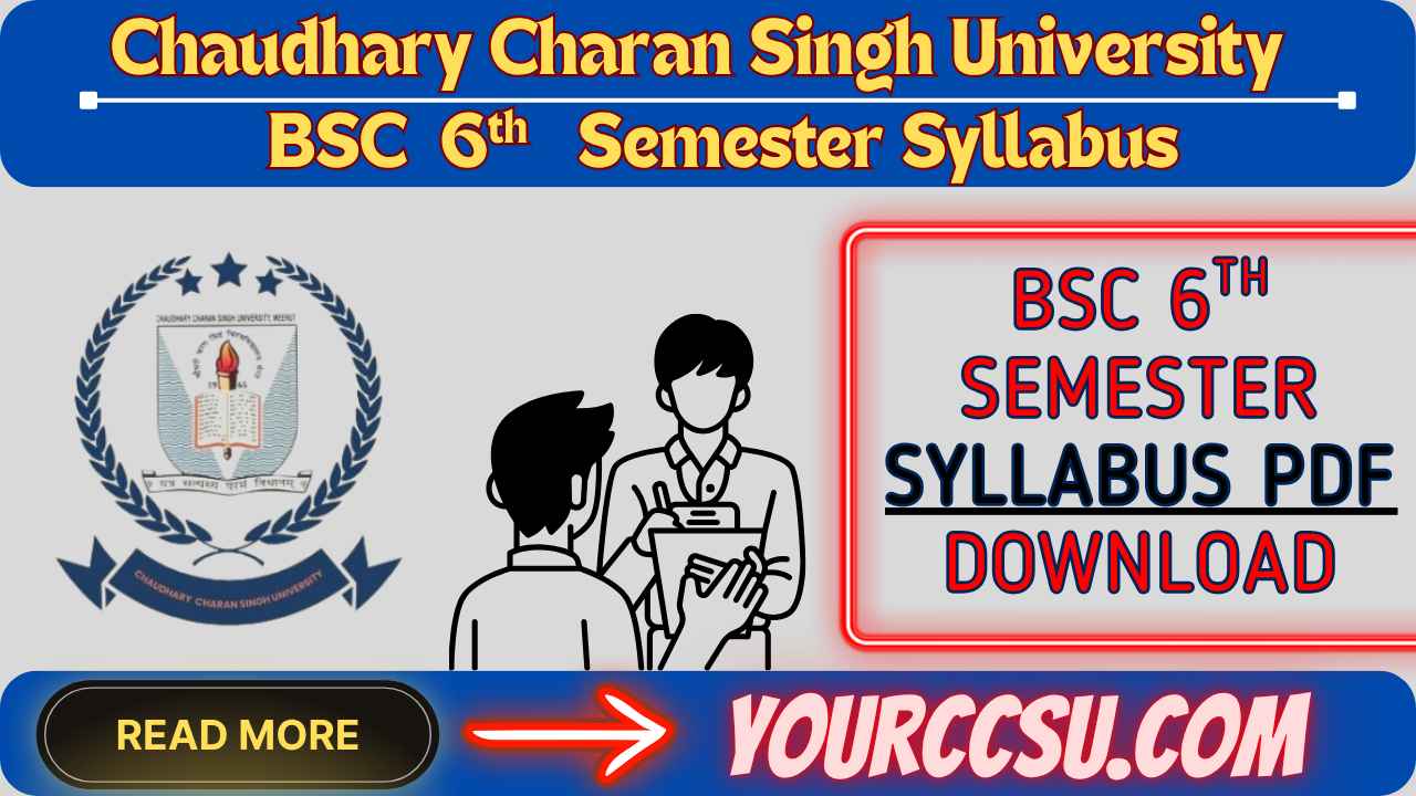CCSU BSC 6th Semester Syllabus PDF Download