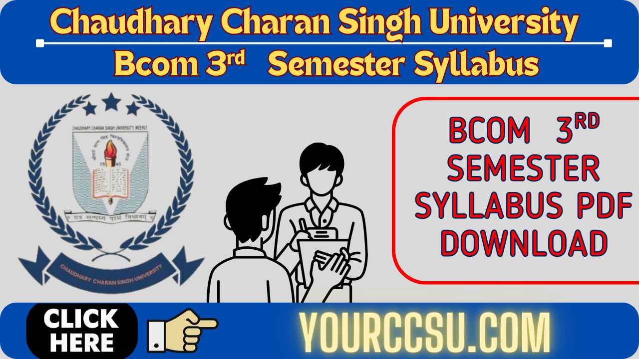 CCSU Bcom 3rd Semester Syllabus PDF Download 2025