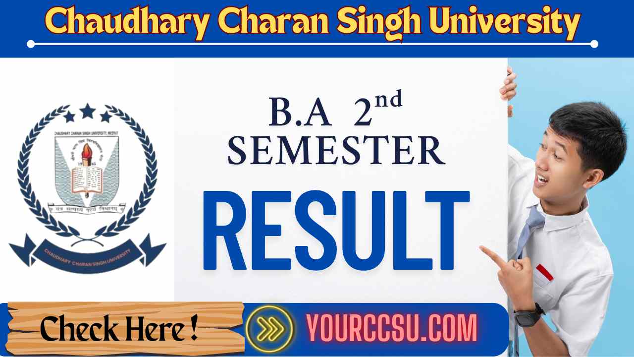 CCSU B.A 2nd Semester Result