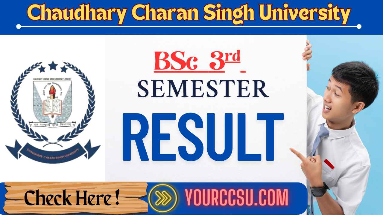 CCSU BSC 3rd Semester Result