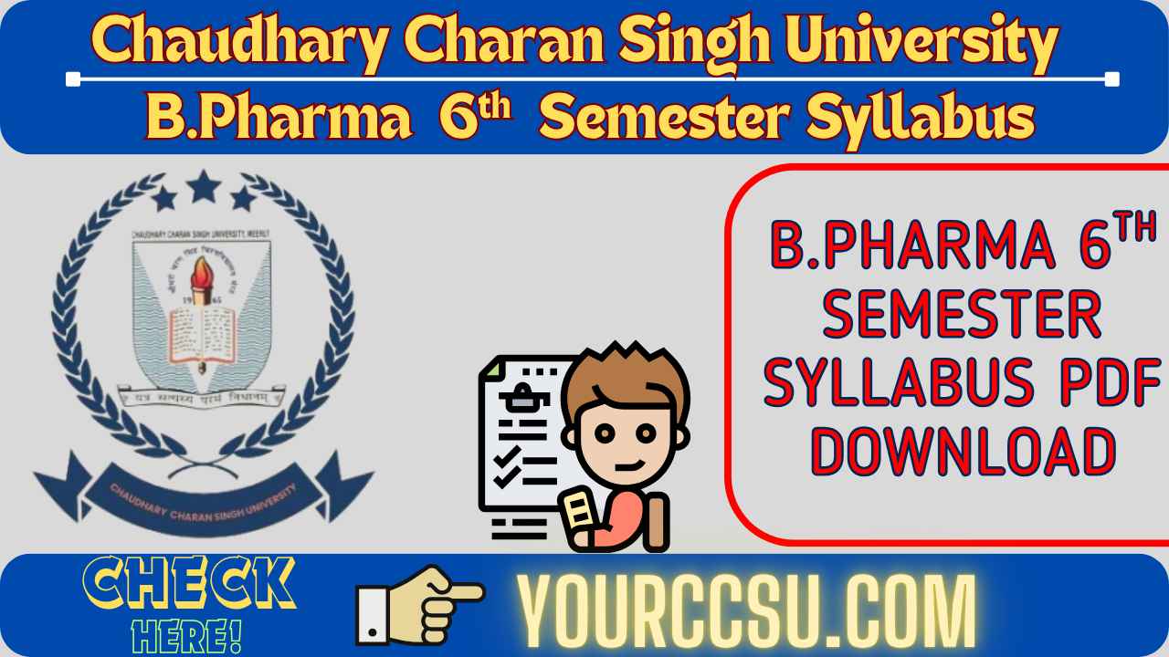 CCSU B.Pharma 6th Semester Syllabus