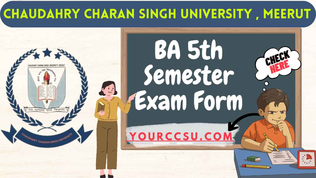 CCSU BA 5th Semester Exam Form
