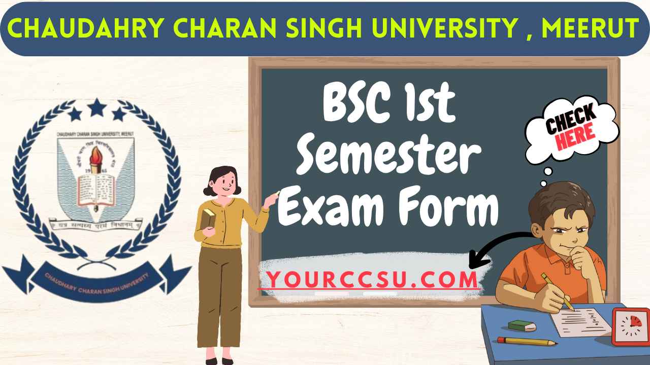 CCSU BSC 1st Semester Exam Form