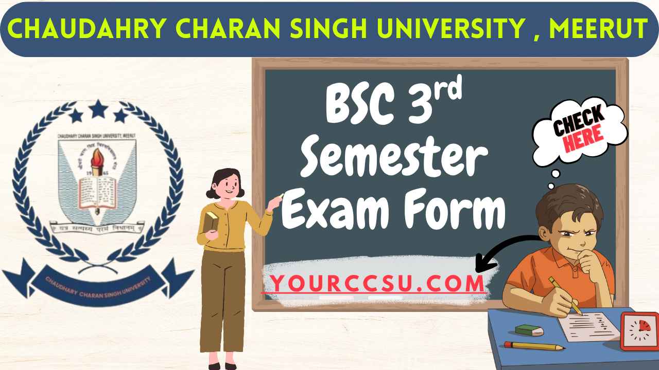 CCSU BSC 3rd Semester Exam Form