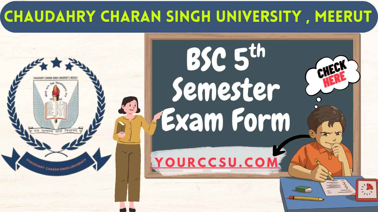 CCSU BSC 5th Semester Exam Form