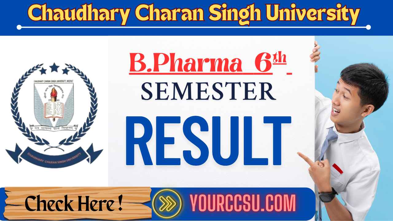 CCSU B.Pharma 6th Semester Result