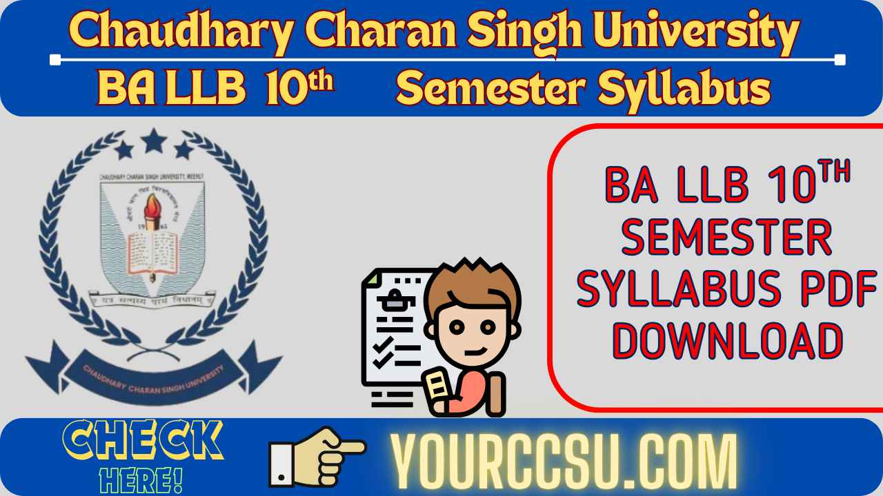 CCSU BA LLB 10th Semester Syllabus