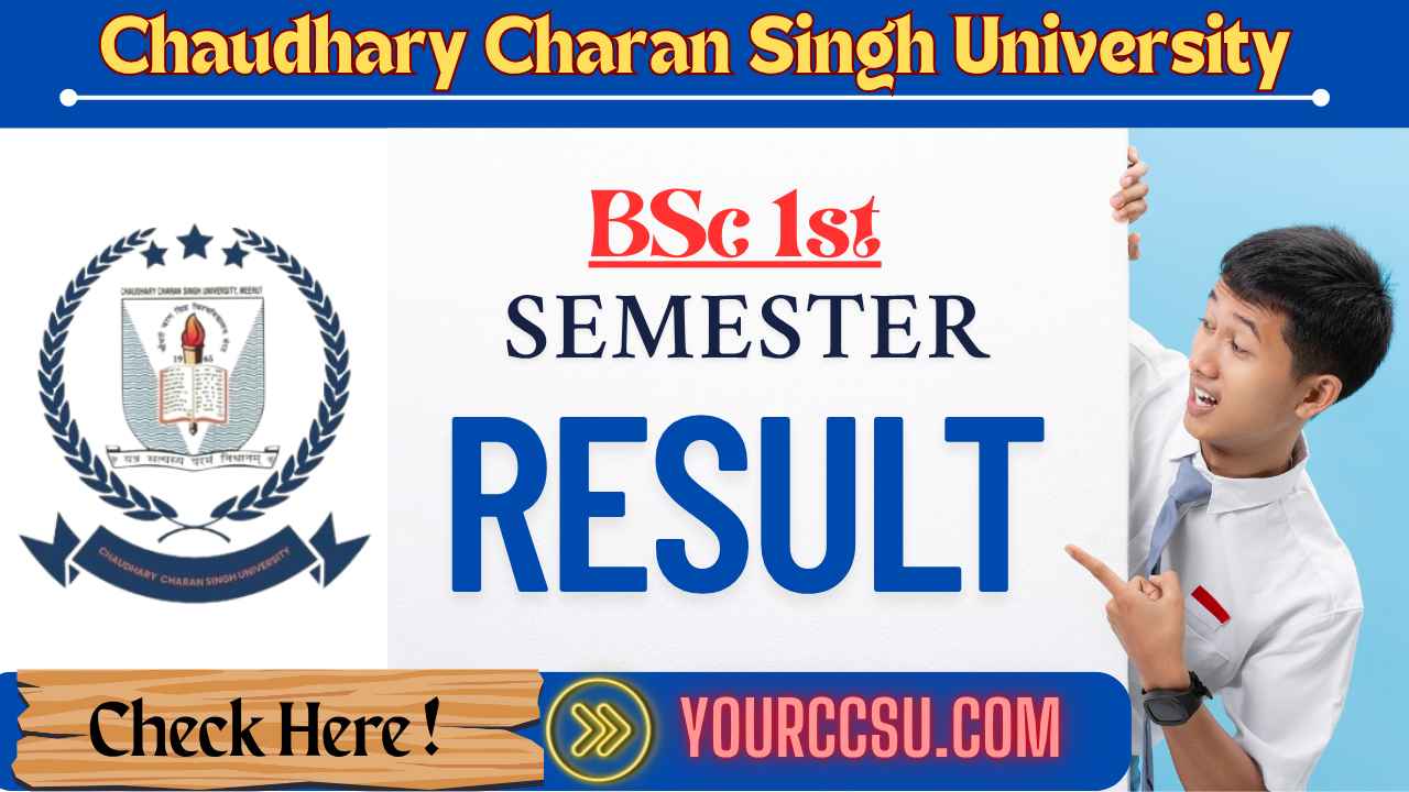 CCSU BSC 1st Semester Result